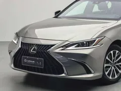 2021 Lexus ES 200 Excellence — фото 11