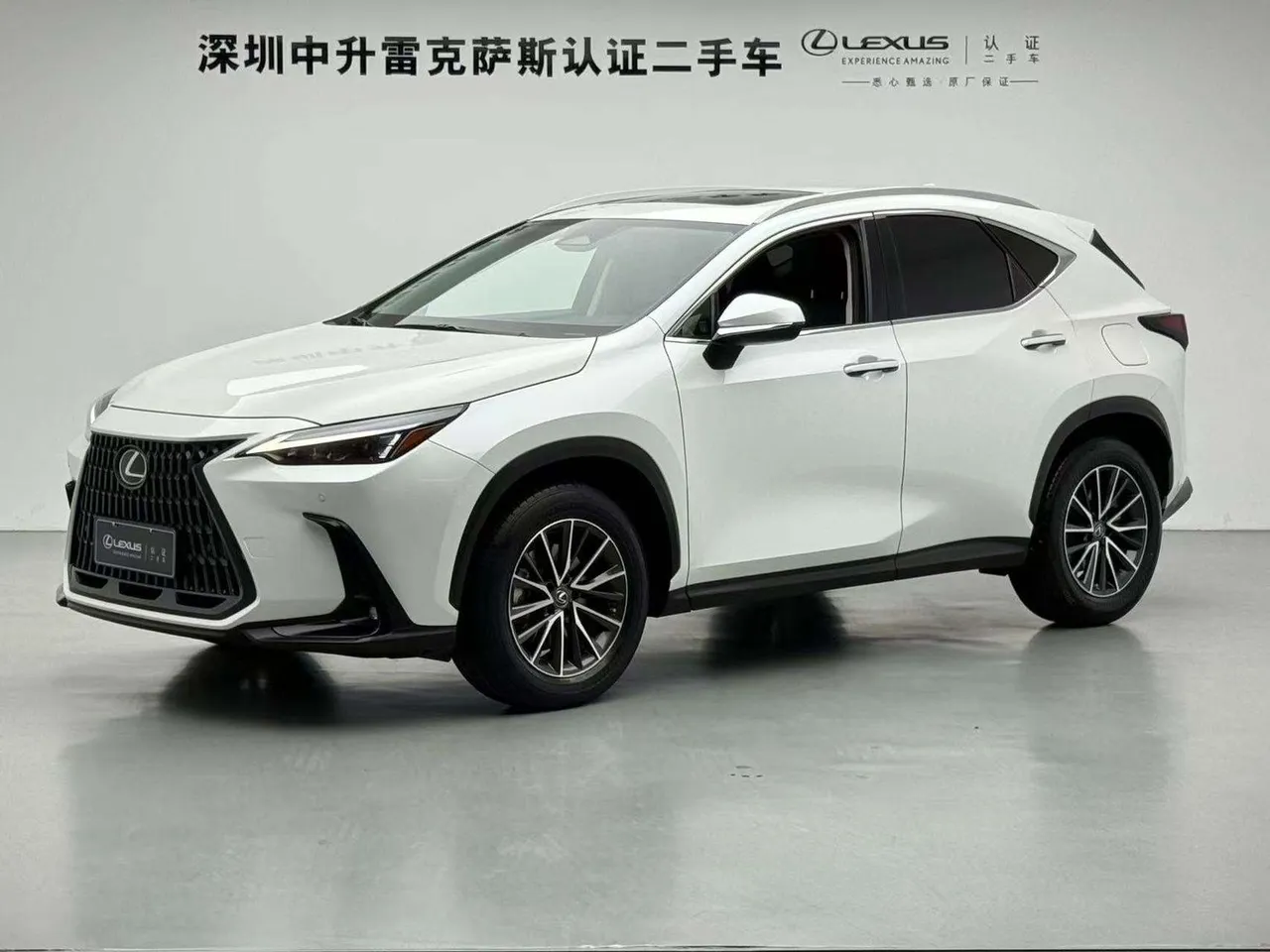 2022 Lexus NX 260 2WD