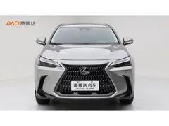 2022 Lexus NX 260 2WD — фото 2