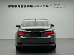 2021 Lexus ES 200 Excellence — фото 14