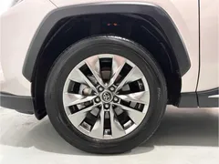 2021 Toyota Wildlander 2.0L 2WD Luxury — фото 14