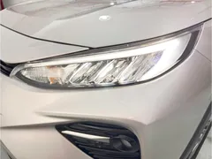 2021 Toyota Wildlander 2.0L 2WD Luxury — фото 15