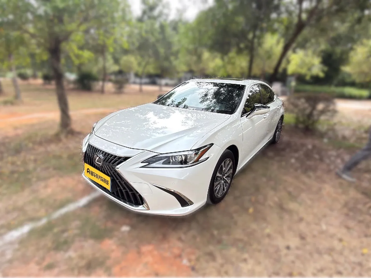 2021 Lexus ES 200 Excellence