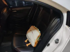 2022 Toyota Levin TNGA 1.5L Leading, белый — фото 12