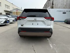 2023 Toyota RAV4 2.0L CVT 2WD 20th Anniversary Platinum, белый — фото 13