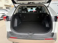 2023 Toyota RAV4 2.0L CVT 2WD 20th Anniversary Platinum, белый — фото 15