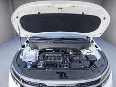 2023 Kia Seltos 1.5L IVT Luxury, белый — фото 18