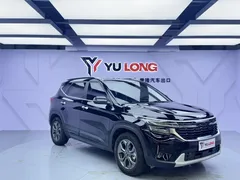 2023 Kia Seltos 1.5L IVT Premium, чёрный — фото 8