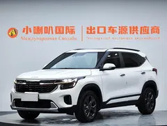 2023 Kia Seltos 1.5L IVT Luxury, белый — фото 21