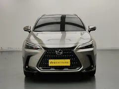 2022 Lexus NX 260 2WD — фото 2