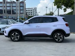 2023 Chery Tiggo 5x 1.5L CVT Luxury, белый — фото 12