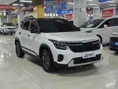 2023 Kia Seltos 1.5L IVT Luxury, белый — фото 3