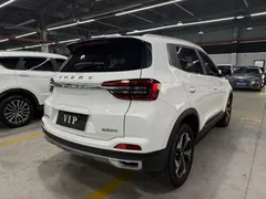 2021 Chery Tiggo 5x 1.5L CVT Luxury, белый — фото 9