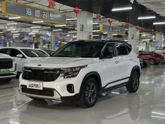 2023 Kia Seltos 1.5L IVT Luxury, белый — фото 1