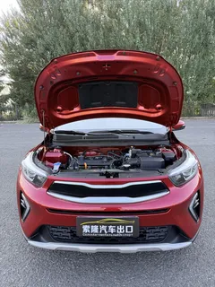 2021 Kia Yipao 1.4L AT, красный — фото 8
