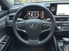 2022 Lexus ES 200 Excellence — фото 10