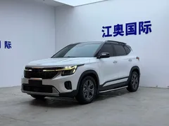 2023 Kia Seltos 1.5L IVT Luxury, белый — фото 1