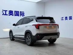2023 Kia Seltos 1.5L IVT Luxury, белый — фото 22