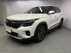 2023 Kia Seltos 1.5L IVT Luxury, белый — фото 1