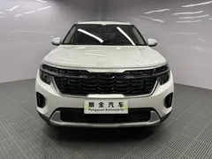 2023 Kia Seltos 1.5L IVT Luxury, белый — фото 2