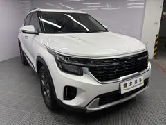 2023 Kia Seltos 1.5L IVT Luxury, белый — фото 3