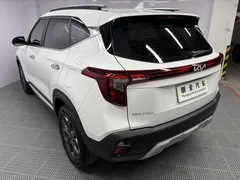 2023 Kia Seltos 1.5L IVT Luxury, белый — фото 17