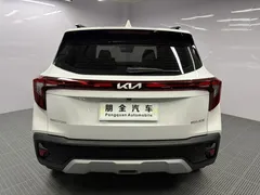 2023 Kia Seltos 1.5L IVT Luxury, белый — фото 19