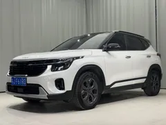 2023 Kia Seltos 1.5L IVT Luxury, белый — фото 2