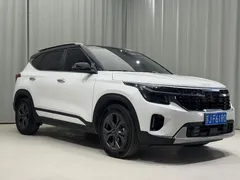 2023 Kia Seltos 1.5L IVT Luxury, белый — фото 4