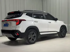 2023 Kia Seltos 1.5L IVT Luxury, белый — фото 7
