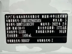 2021 Honda XR-V 1.5L CVT Luxury, белый — фото 20