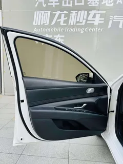 2023 Hyundai Elantra 1.5L CVT LUX Premium, белый — фото 19