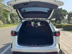 2023 Lexus NX 260 2WD, белый — фото 15