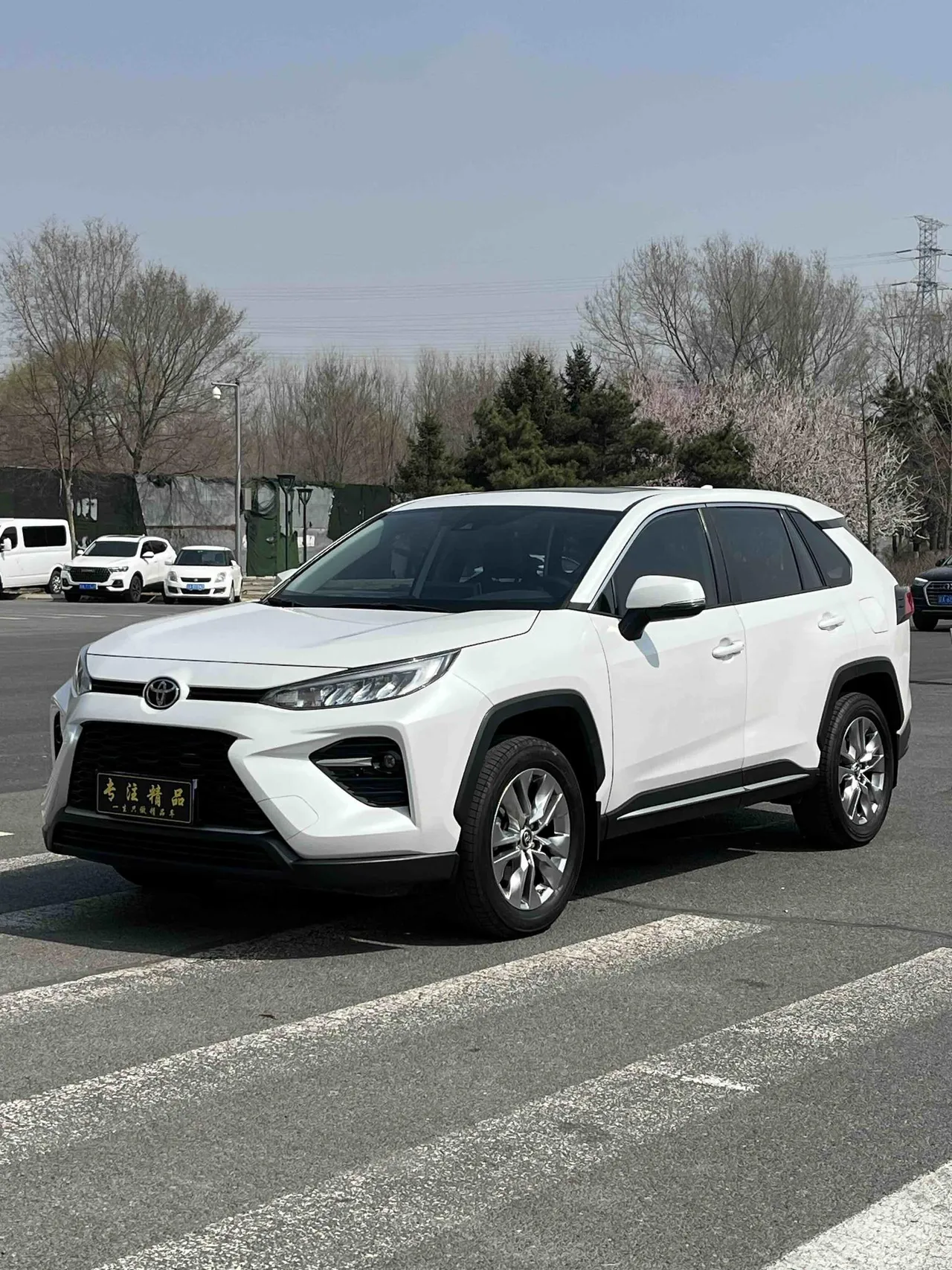 2022 Toyota Wildlander 2.0L 4WD Luxury