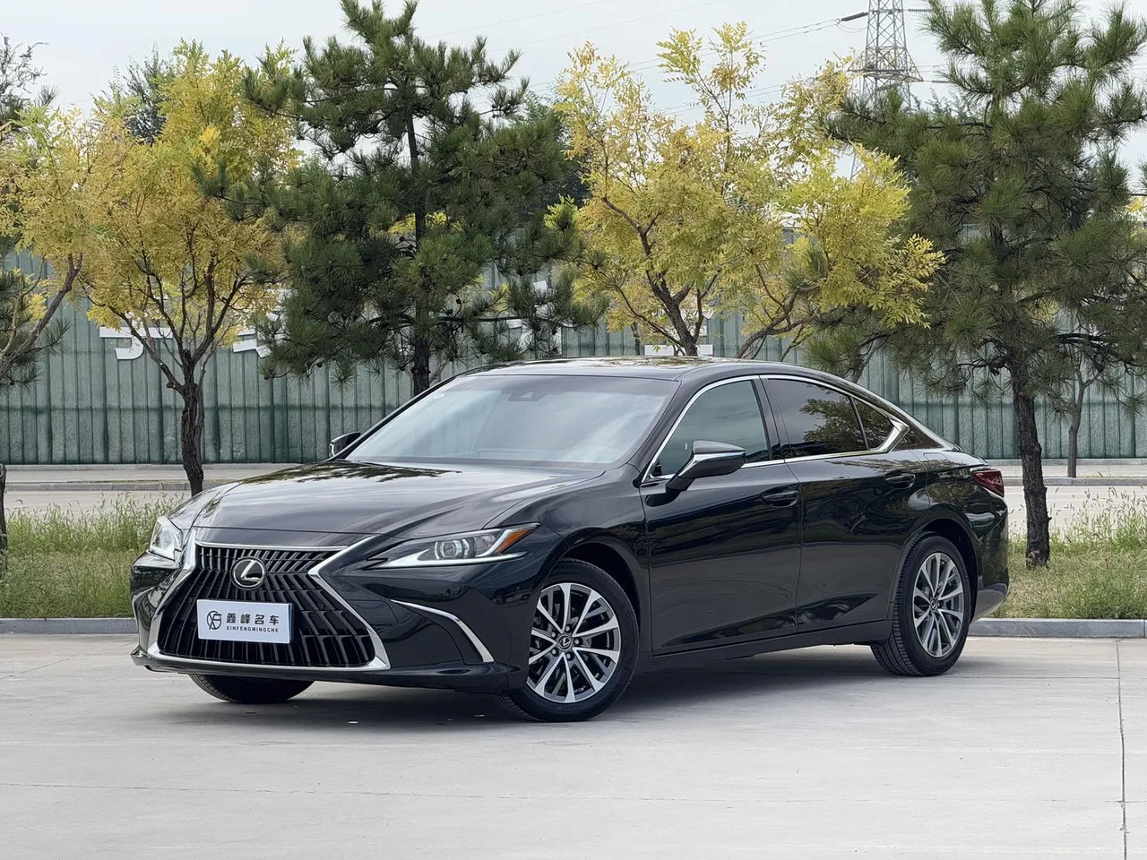 2022 Lexus ES 200 Excellence