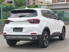 2021 Chery Tiggo 5x 1.5L CVT Luxury, белый — фото 7