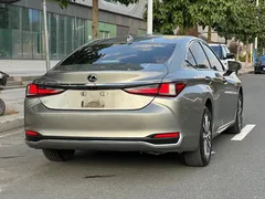 2022 Lexus ES 200 Excellence — фото 6