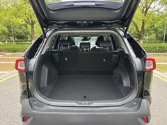 2022 Toyota Wildlander 2.0L 2WD Luxury Plus, чёрный — фото 15