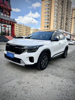 2023 Kia Seltos 1.5L IVT Luxury, белый — фото 1