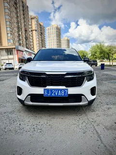 2023 Kia Seltos 1.5L IVT Luxury, белый — фото 2