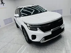 2023 Kia Seltos 1.5L IVT Luxury, белый — фото 3