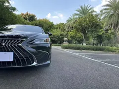2022 Lexus ES 200 Excellence, чёрный — фото 13