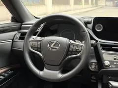 2022 Lexus ES 200 Excellence, белый — фото 21