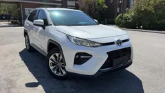 2022 Toyota Wildlander 2.0L 2WD Luxury, белый — фото 3
