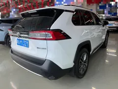 2023 Toyota Wildlander 2.0L 2WD Luxury Plus, белый — фото 18
