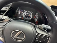 2022 Lexus ES 200 Excellence — фото 10