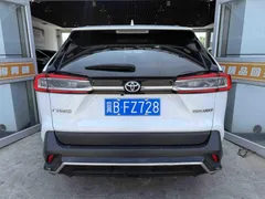 2022 Toyota Wildlander 2.0L 2WD Luxury, белый — фото 11
