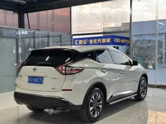 2021 Nissan Murano 2.5L XL 2WD Luxury, белый — фото 14