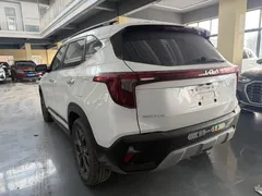 2023 Kia Seltos 1.5L IVT Luxury, белый — фото 6