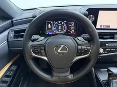 2022 Lexus ES 200 Excellence — фото 10
